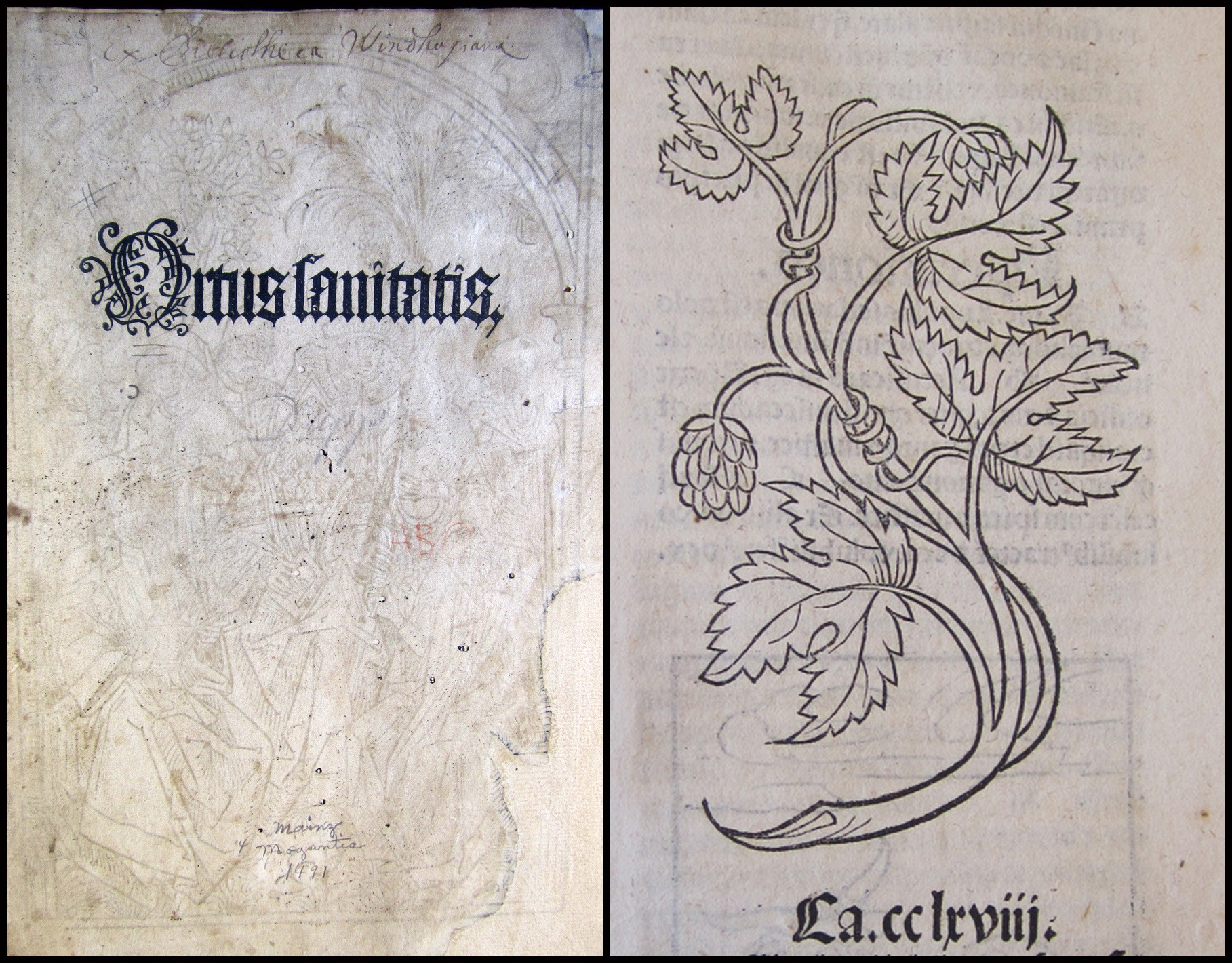 Ortus sanitatis