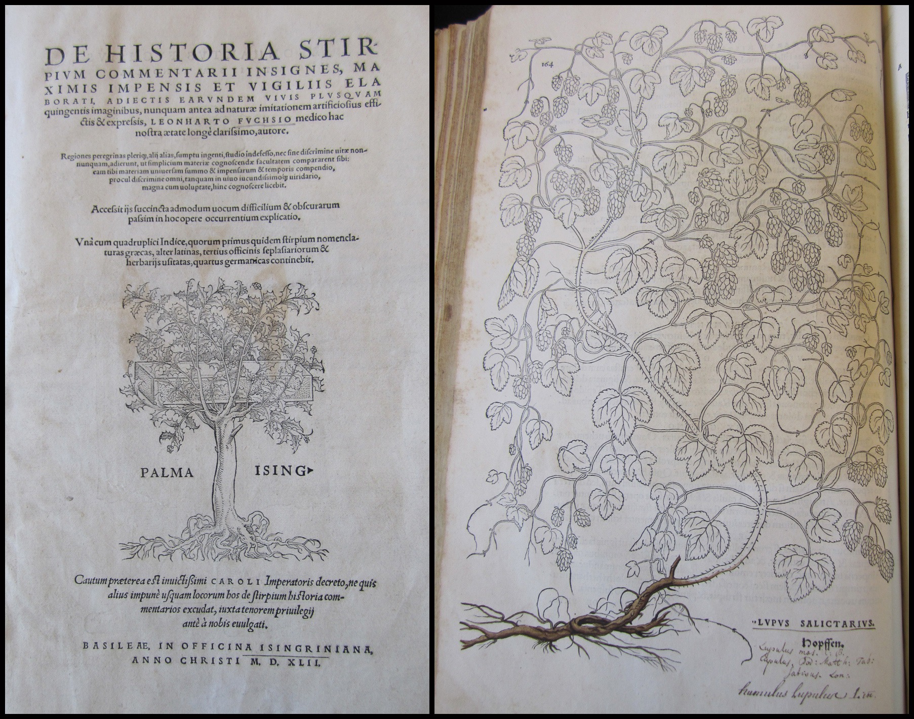 De Historia Stirpium Commentarii Insignes