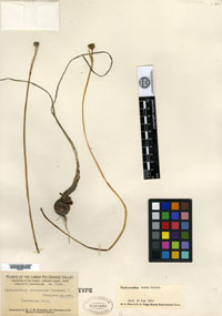 30314-mini.jpg