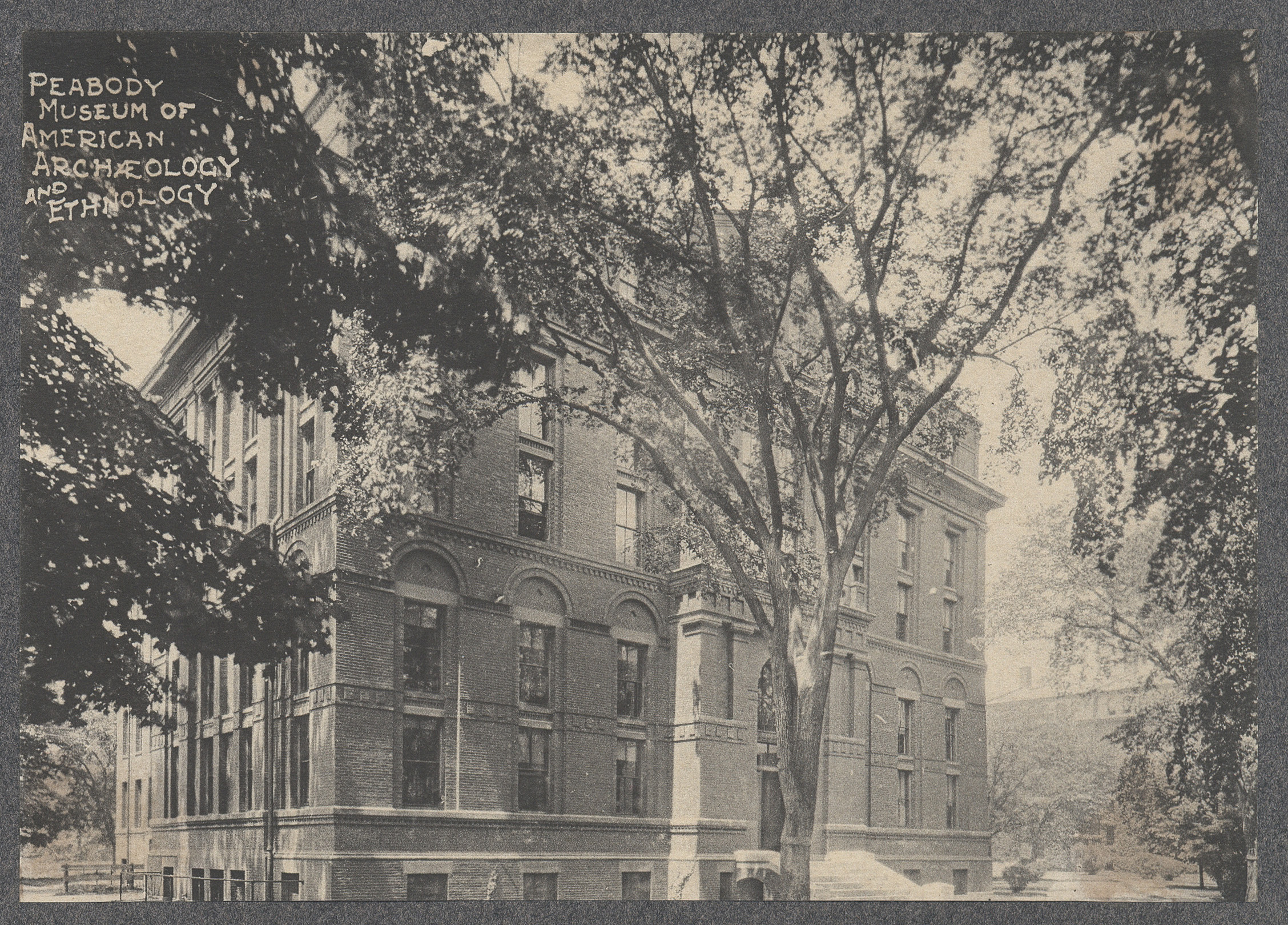 Peabody Museum, Harvard University circa 1906 (Page 20)