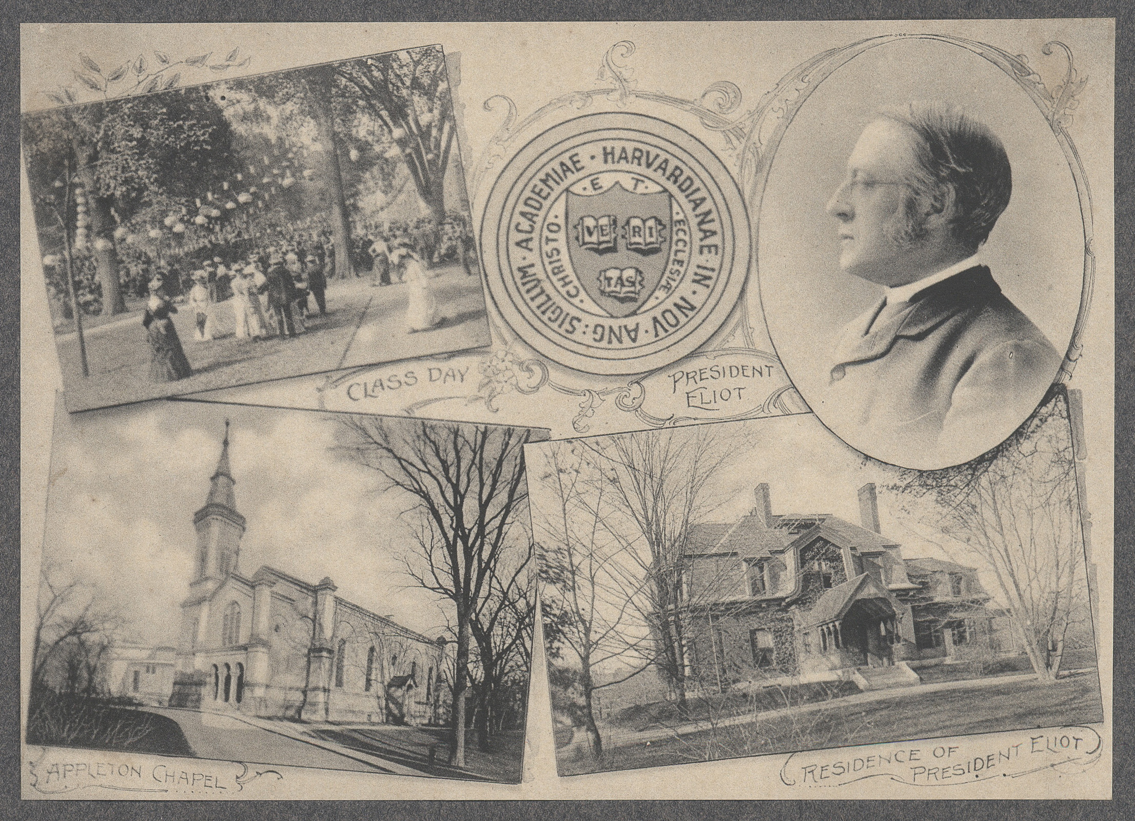 President Eliot, Harvard University circa 1906 (Page 36)