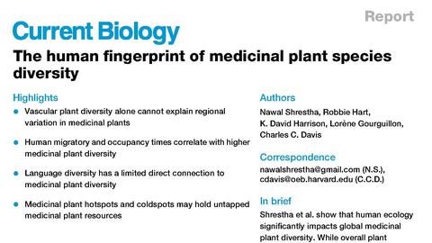 Current Biology image
