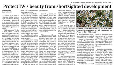 news article