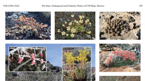 pg 107 of publication showing examples of flora