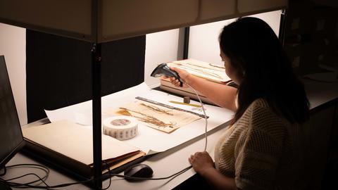 Digitising plants at Kew