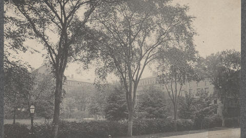 Agassiz Museum, Harvard University circa 1906 (Page 19)