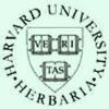 Harvard University Herbaria Databases