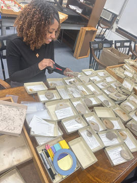Orit in the PALEO collection