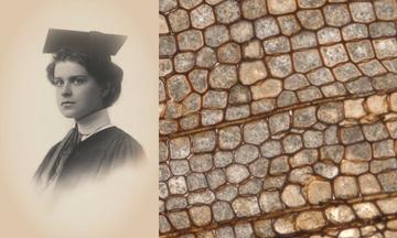 portrait of Ruth Holden next to specimen 66374 Xenoxylon latiporosum