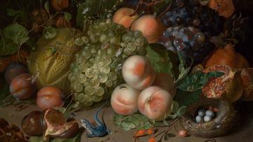 Rachel Ruysch, Forest Still Life with Stag Beetle and Nest (detail), 1717. Oil on canvas. Staatliche Kunsthalle Karlsruhe.