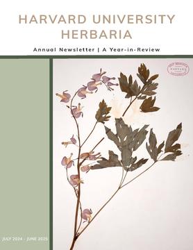 2025 Annual Report cover featuring  Lamprocapnos spectabilis Fukuhara specimen 01155238