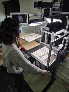 Digitizer using a photo station to image herbarium specimens