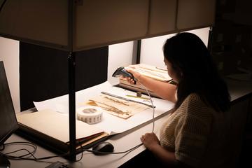 Digitising plants at Kew