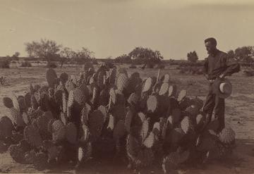 C.G. Pringle&nbsp;, Mexico, circa 1884