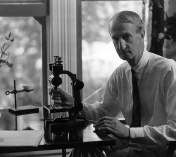 Black-and-white photograph of Oakes Ames seated at a desk using a microscope, with light coming through a window behind him, dated 1941