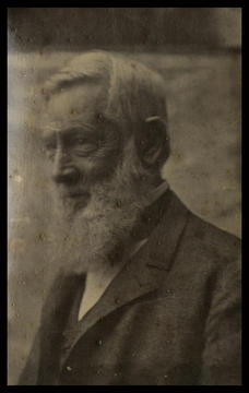 birthday_gray_1886.jpg
