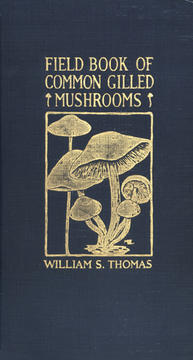 books_cover_11.jpg