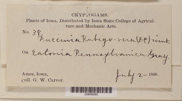 Carver rust label