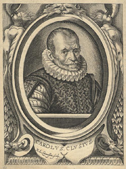 clusius.jpg