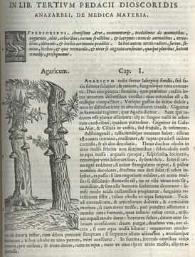 mattioli_plate.jpg