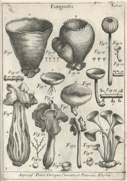 micheli_plate.jpg