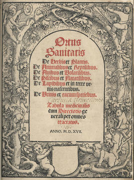 ortus_titlepage.jpg
