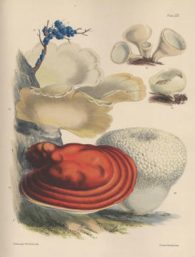 price_plate.jpg