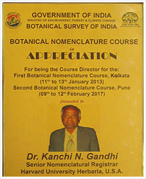 Appreciation Award