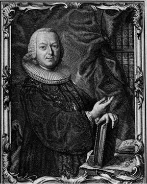 schaefferi.jpg