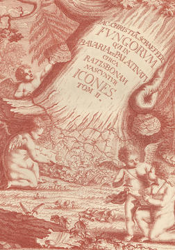 schaefferi_frontispiece.jpg
