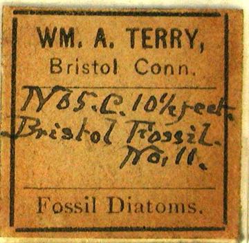 terry3