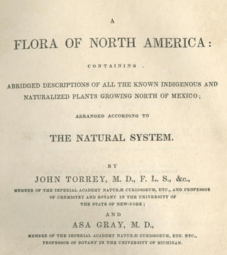 '