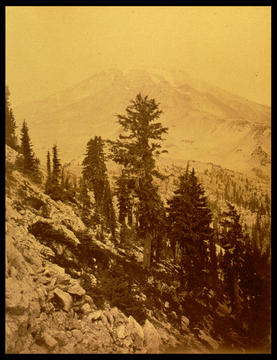 watkins16_small.jpg