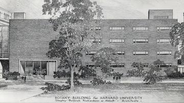 Architectural scan of the proposed herbaria building, 1952