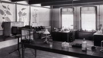 Botany classroom in the University Museum building, circa 1900