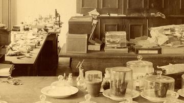 Cryptogamic Laboratory, circa 1910