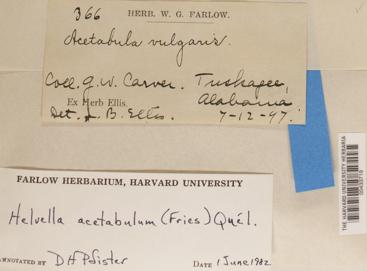 label from specimen collected by G.W.Carver