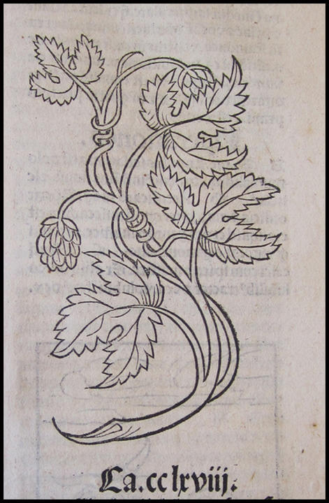 1491_plate_large.jpg