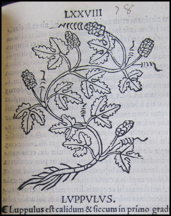 1509_plate_large.jpg