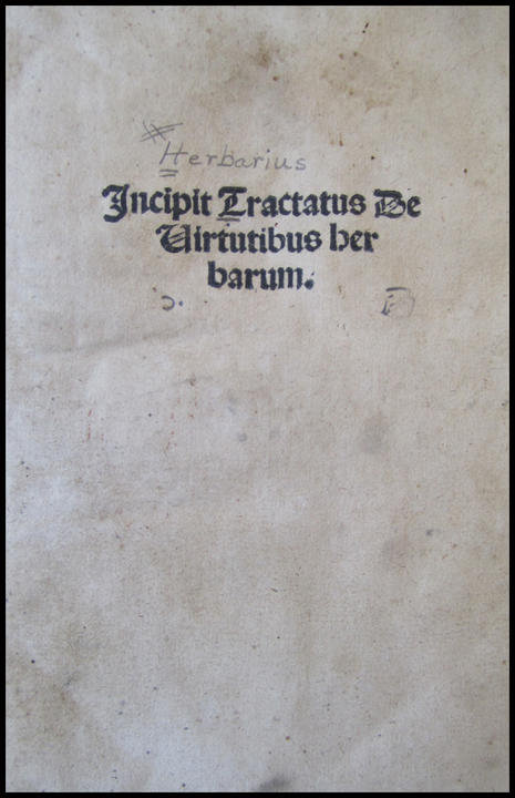 1509_tp_large.jpg