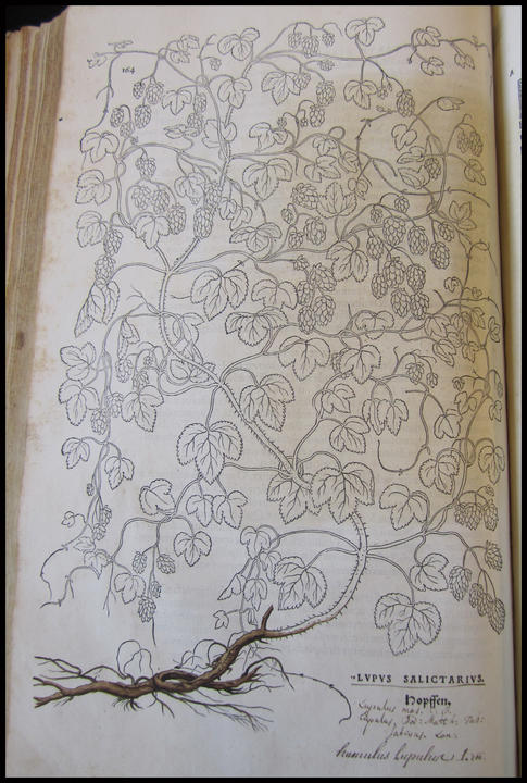 1542_plate_large.jpg