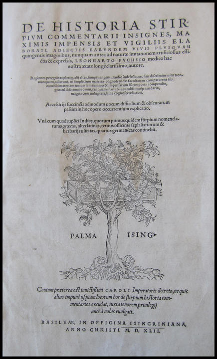 1542_tp_large_01.jpg