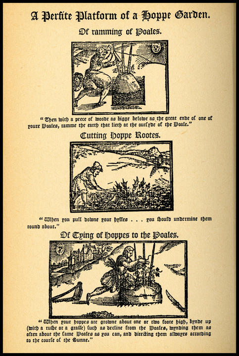 1576_from1965.jpg