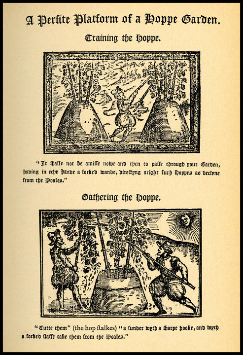 1576_from1965_2.jpg