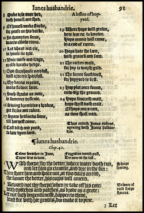 1586_text.jpg