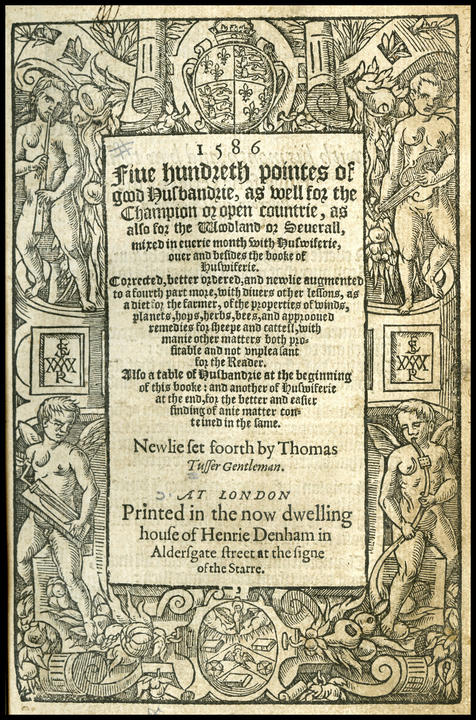 1586_tp_large_01.jpg