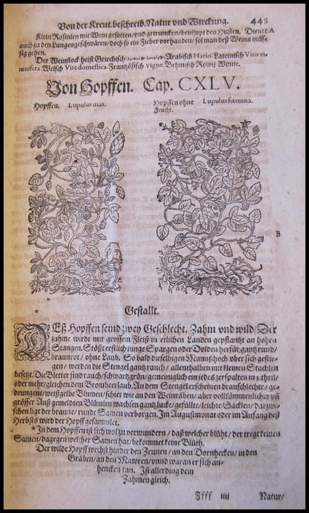 1600_plate_large.jpg