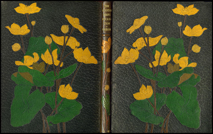 1654_cover_large.jpg