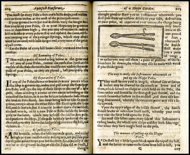 1654_text_large.jpg
