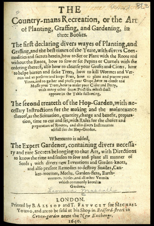 1654_tp_large.jpg